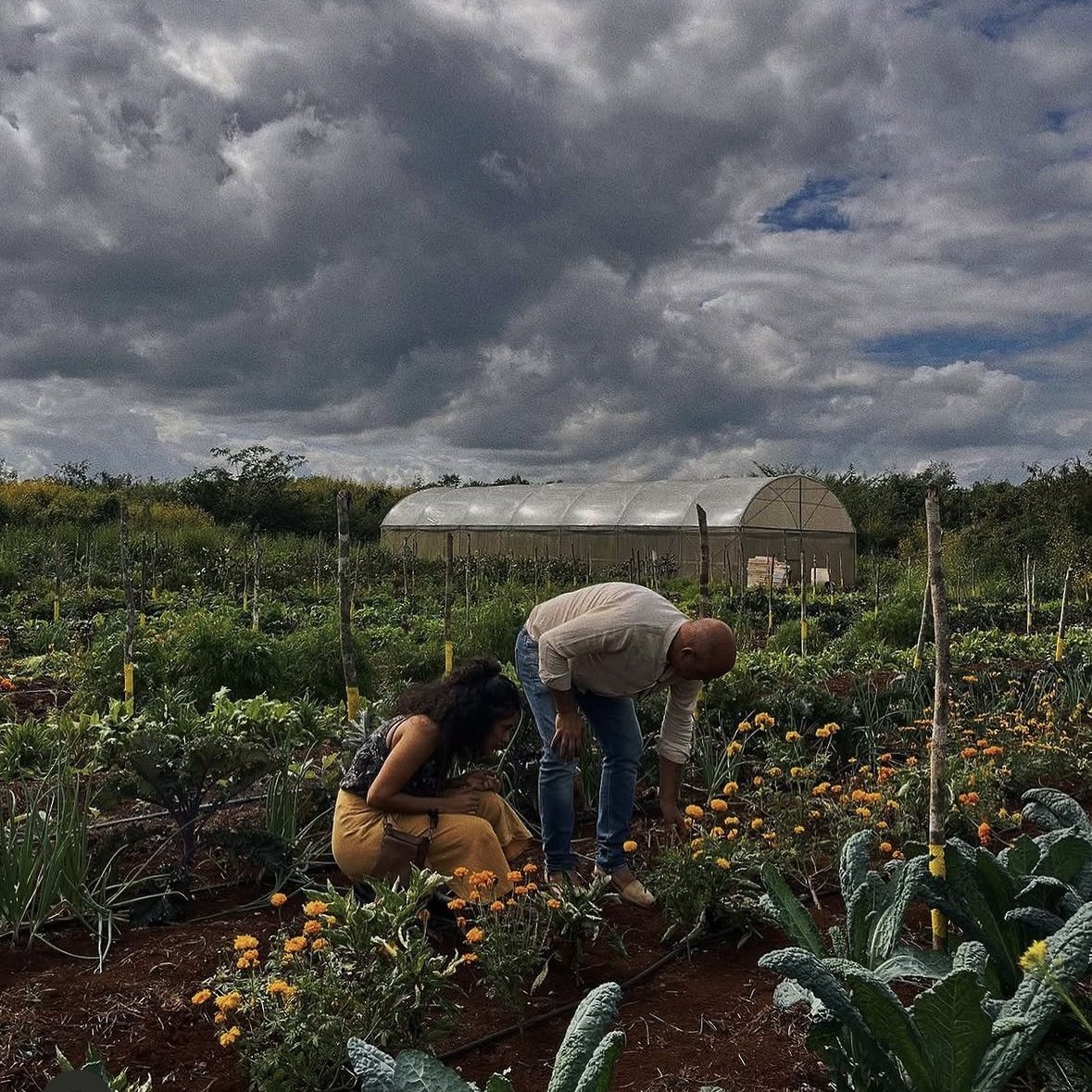 Two people crouching among flowers and vegetables in a market garden, under a cloudy sky.