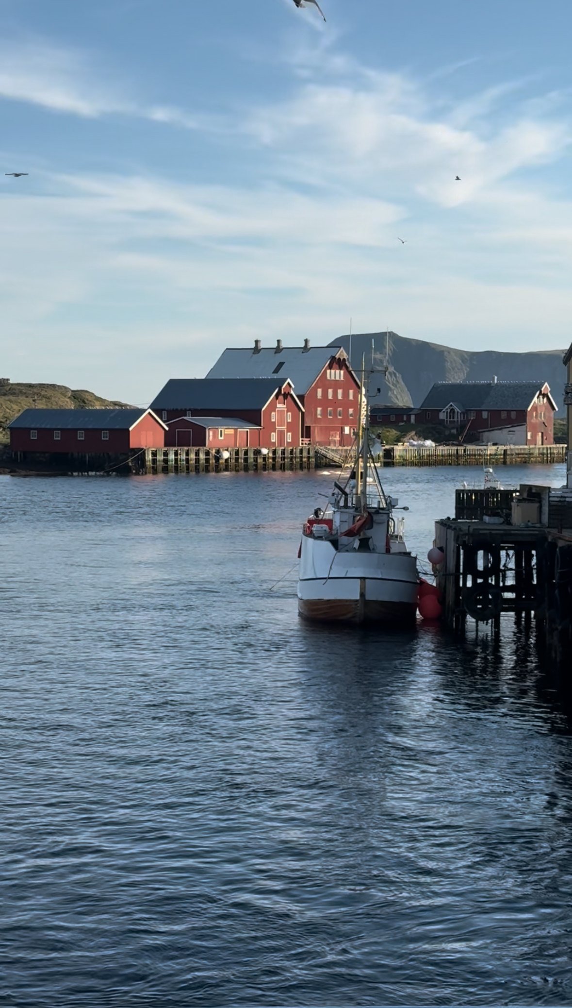 A fishing boat moored in a harbour, with red wooden houses behind.