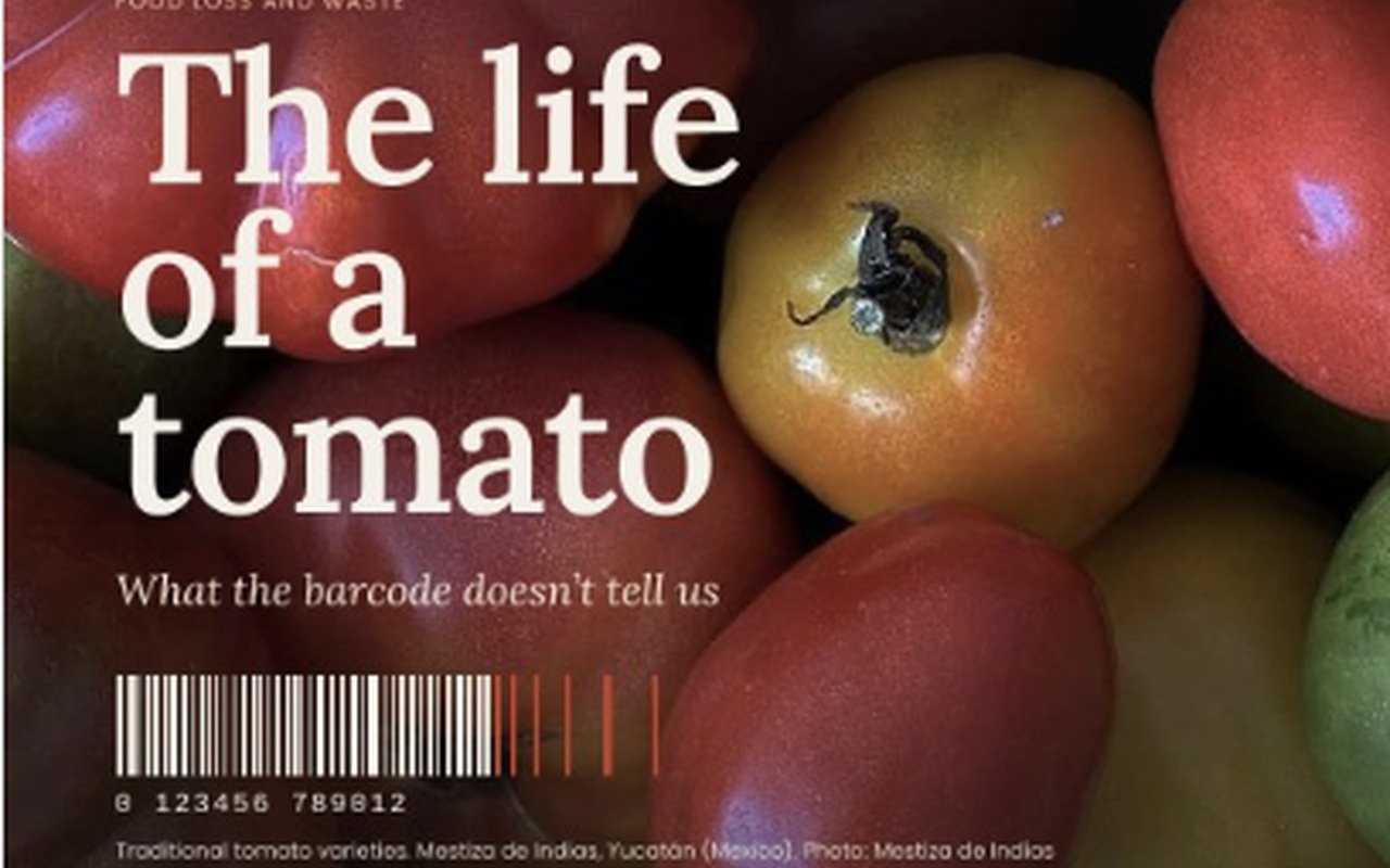 Food Journal: La vida de un tomate