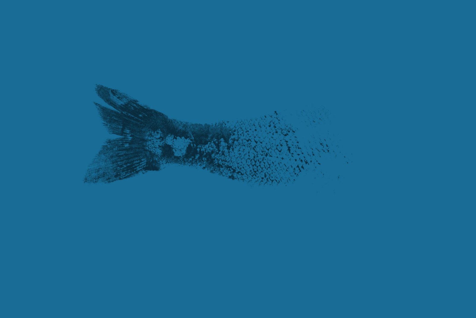 Placeholder: Empesca't